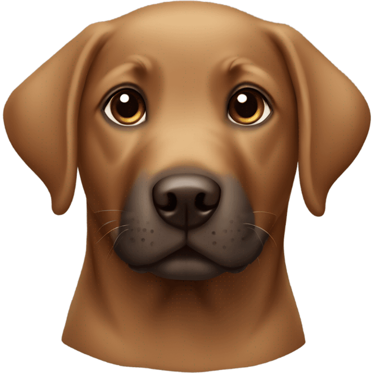 brown Labrador puppy head emoji