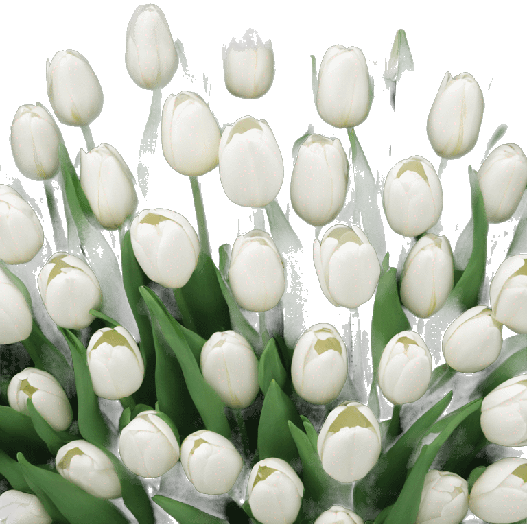 White tulips emoji