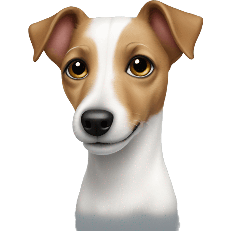 white Jack Russell  emoji