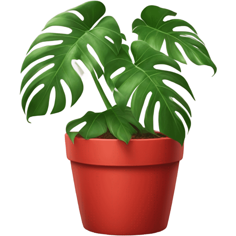 Monstera plant with a red pot emoji