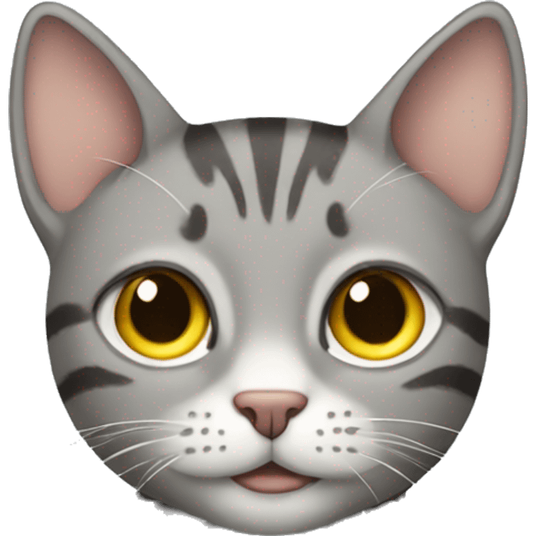 grey tabby cat emoji