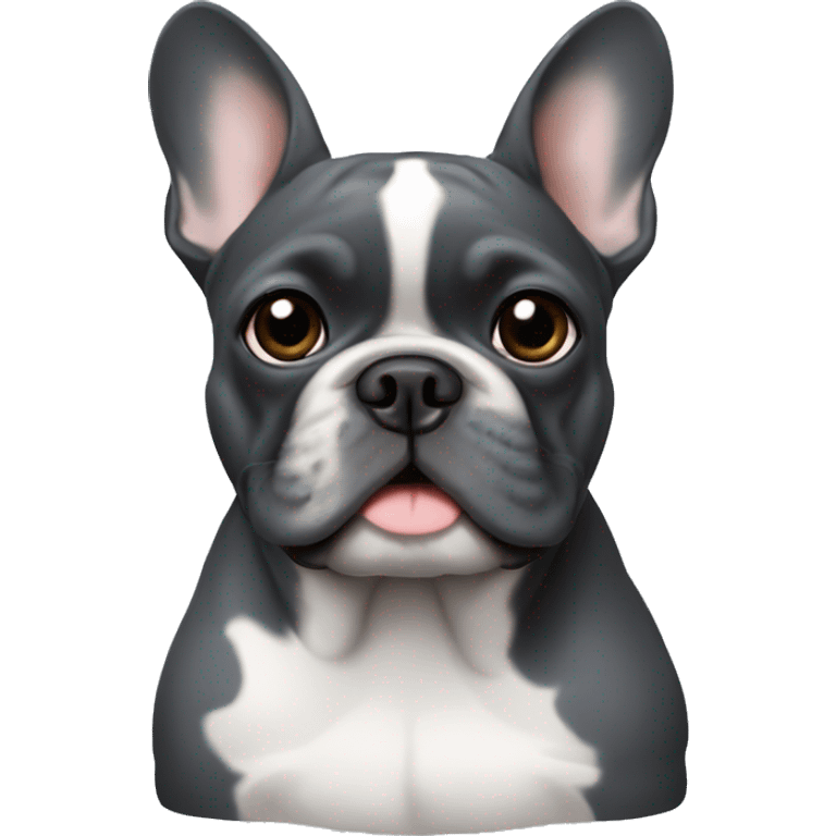 solid dark gray french bulldog  emoji