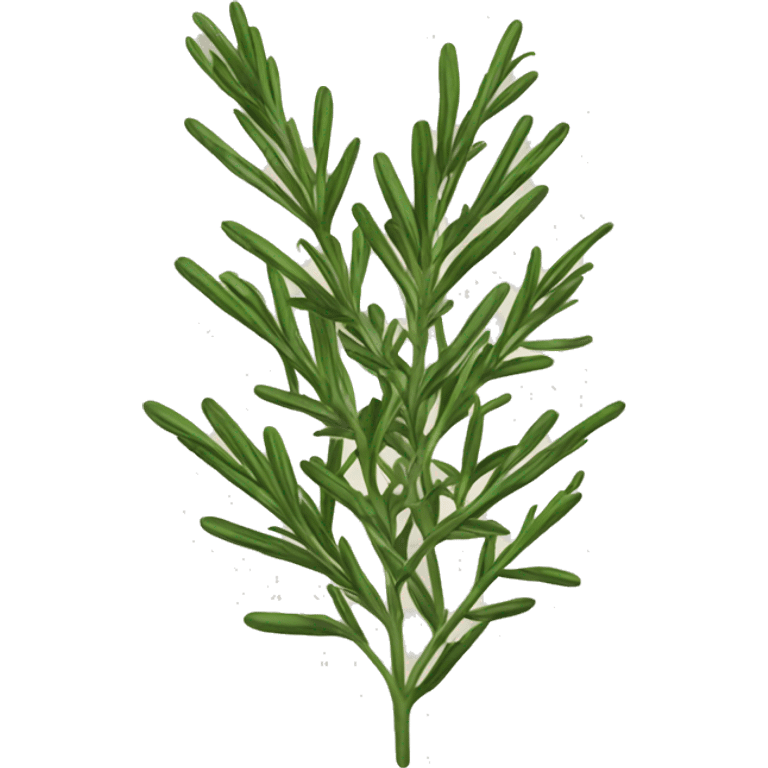 Rosemary  emoji