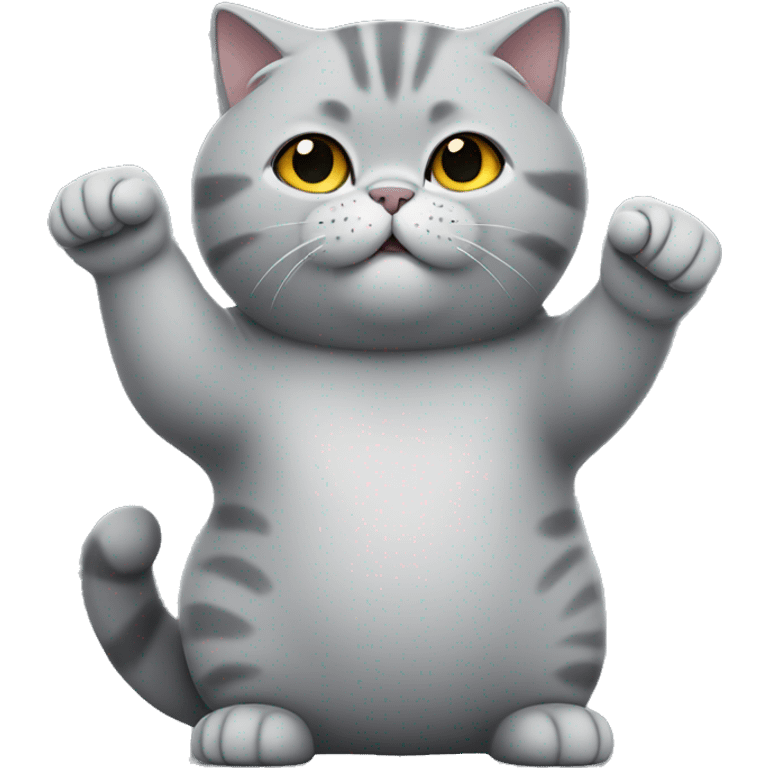 grey fat British shorthair cat raising its right hand  emoji