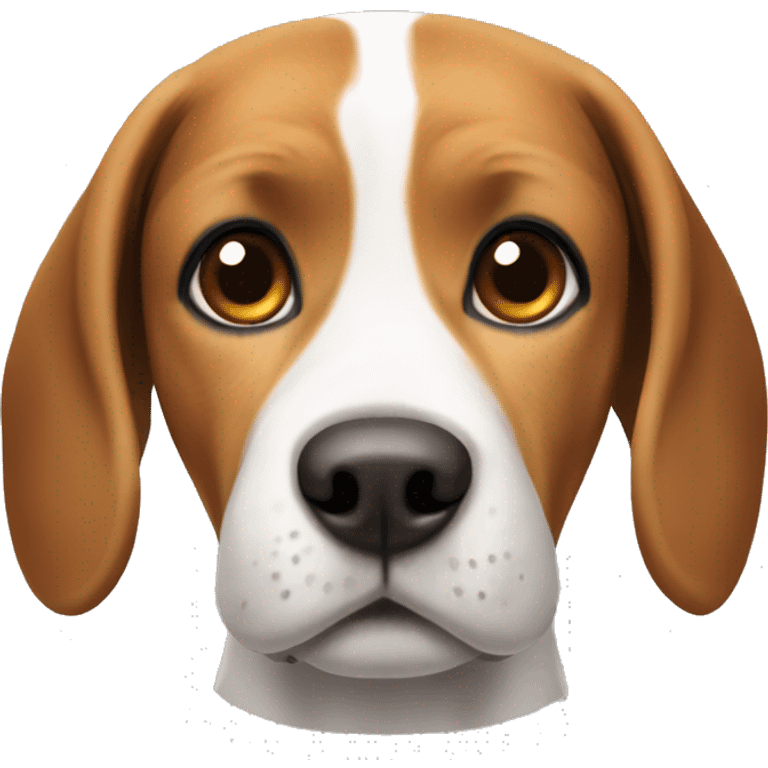 a beagle dog but brown that has a kind of white nose and has taller legs but not too much emoji