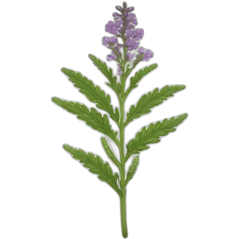 Vervain emoji