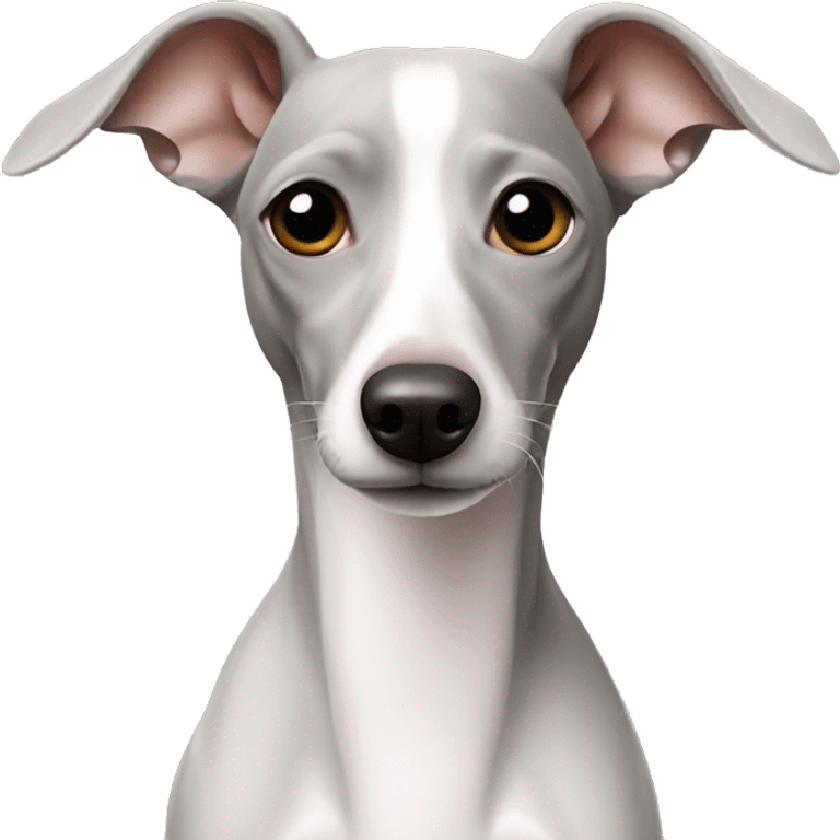 White Italian greyhound emoji