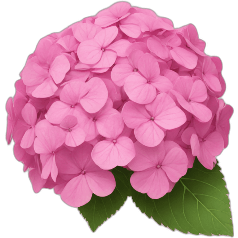 pink hydrangea emoji