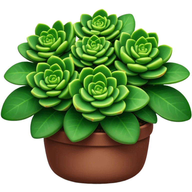 Cinematic Realistic Crassula Emoji, Compact and vibrant, with small, fleshy leaves arranged in thick, rounded clusters. The deep green hue of the leaves radiates calm, while their structured growth speaks of endurance. Soft glowing outline, capturing the essence of perseverance and tranquility in a crassula plant! emoji