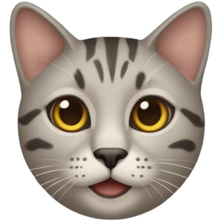 ms-anthropologist-cat emoji