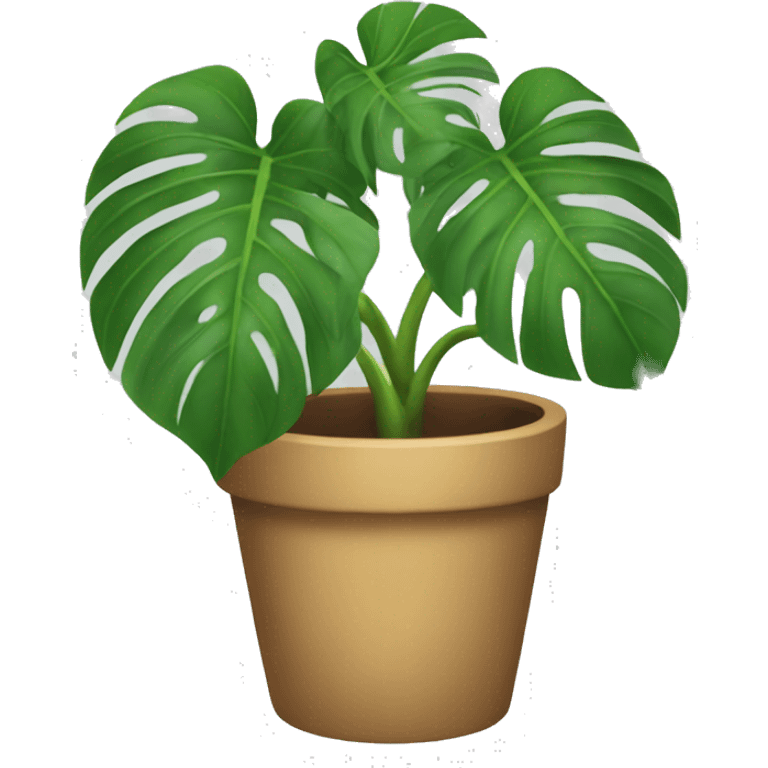 Potted Monstera albo apple style emoji  emoji