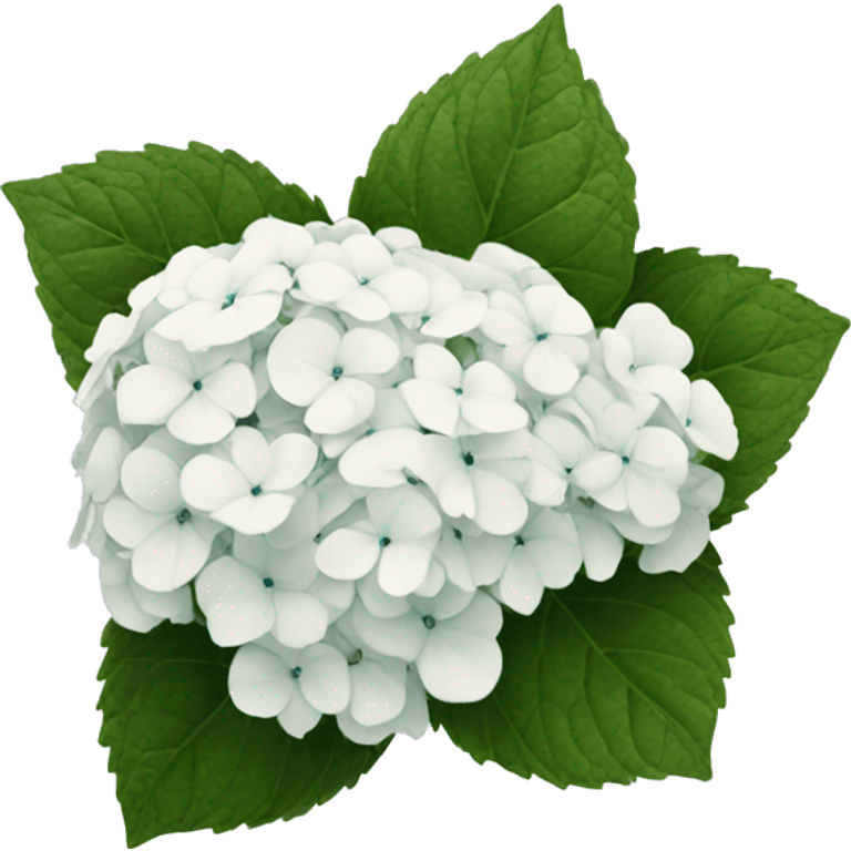 White hydrangea emoji