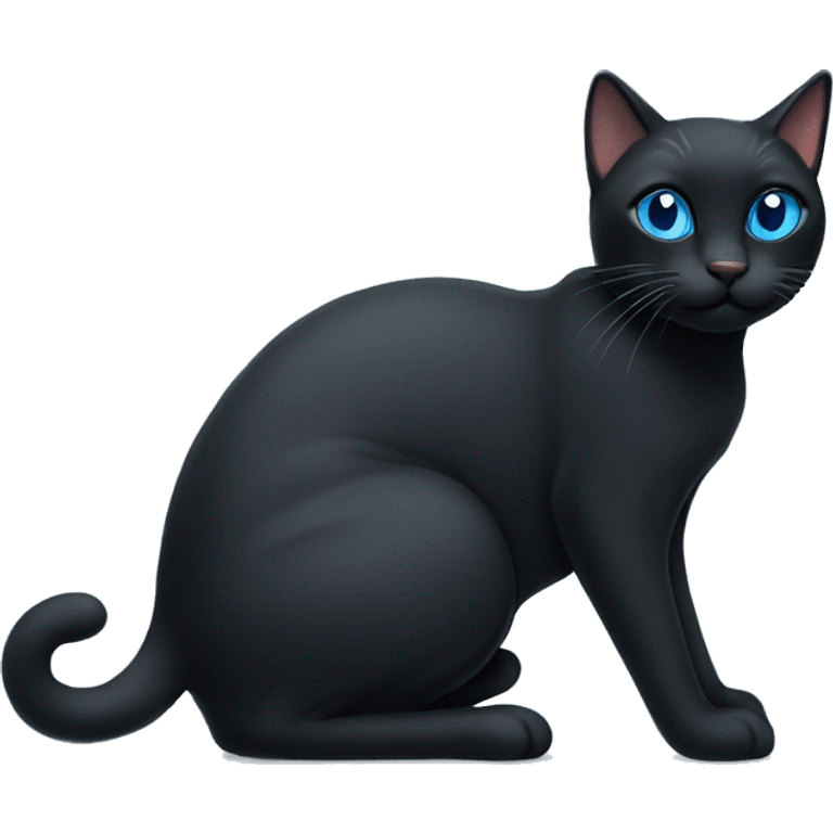 Black cat with blue  ིྀ emoji