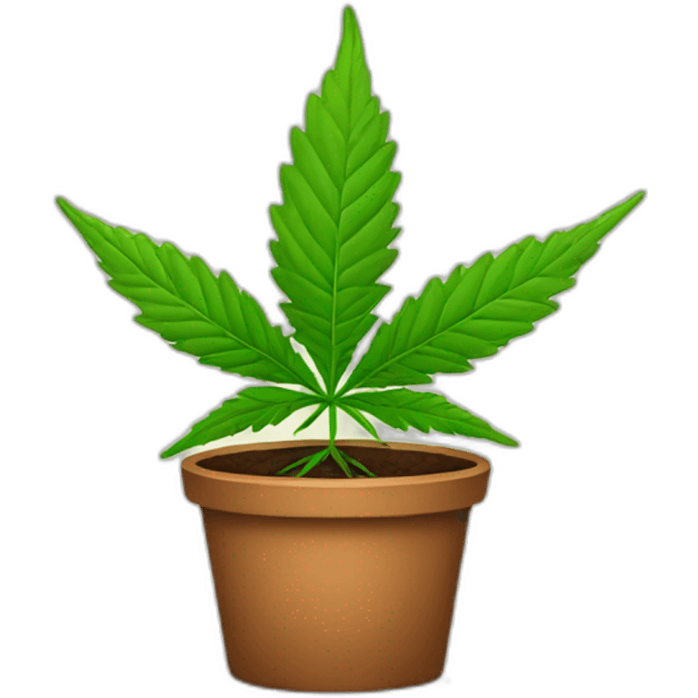 young-cannabis-plant emoji