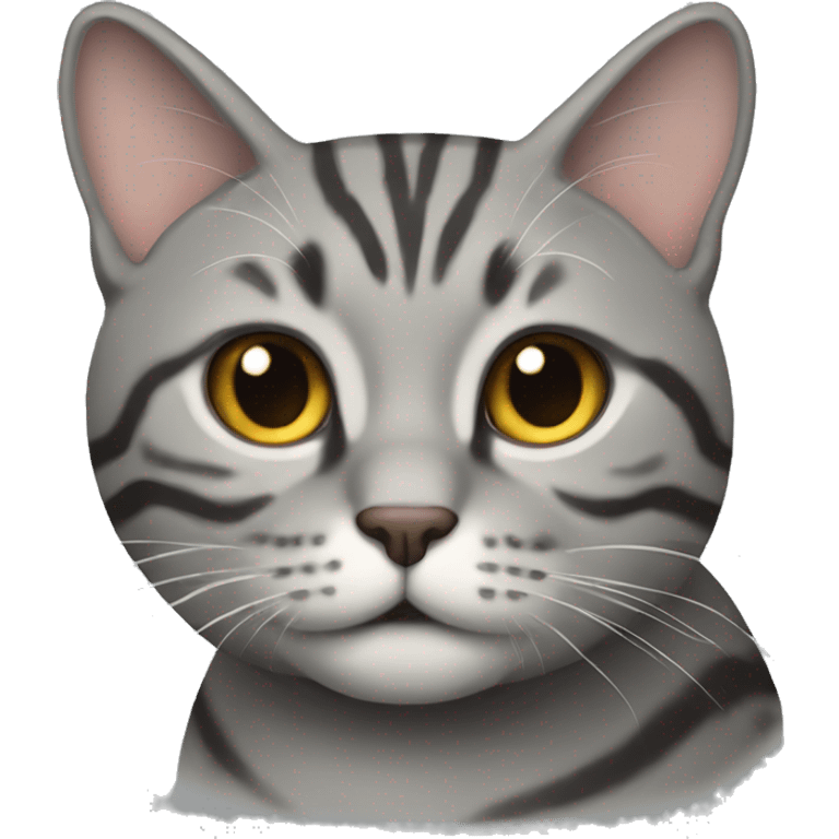 fat grey tabby emoji