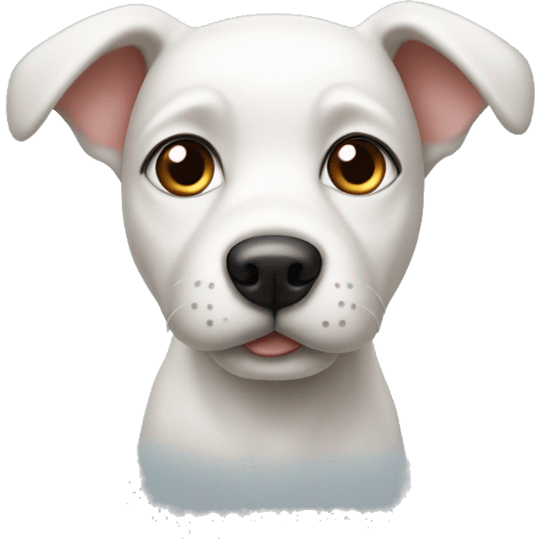 White puppy dog with brow ears head emoji