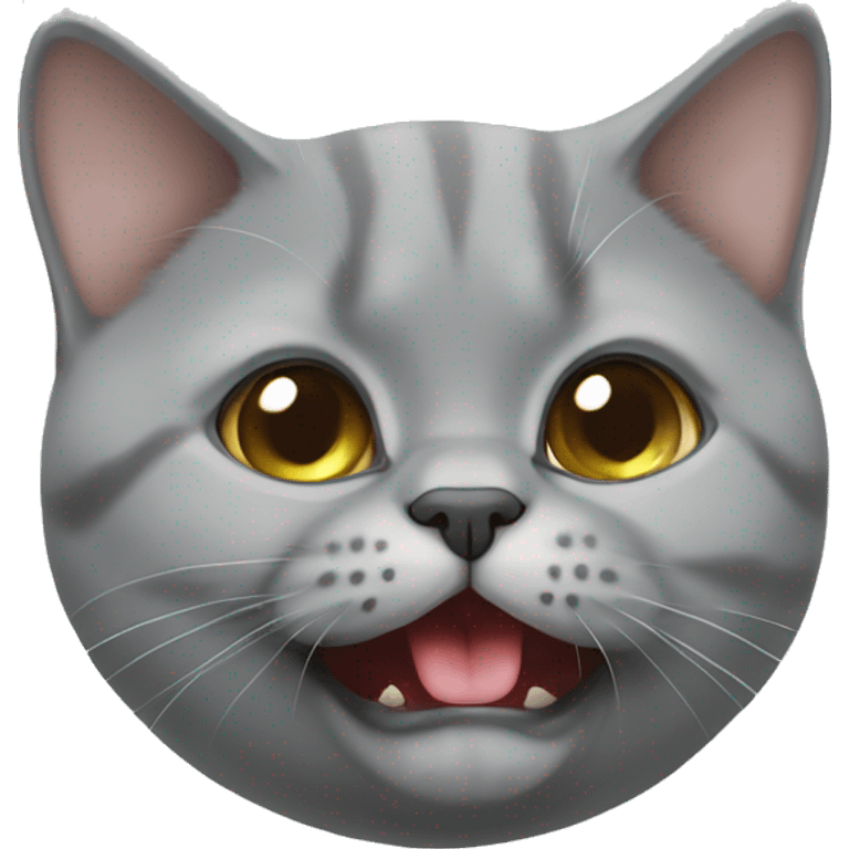 playful british shorthair with tongue out emoji