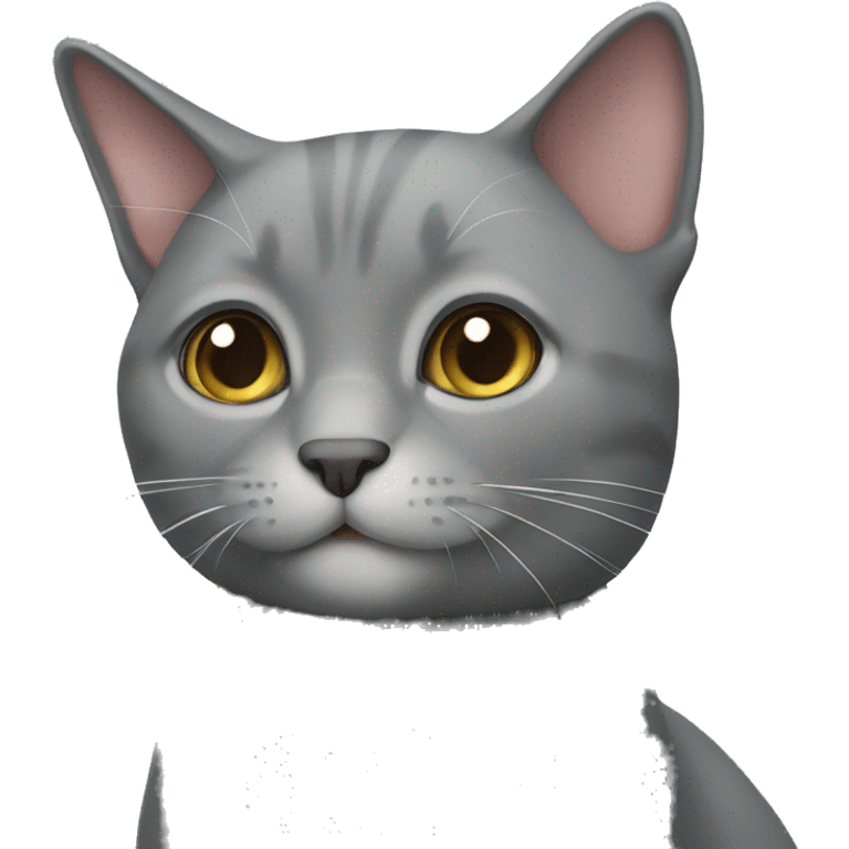 Grey cat britan emoji