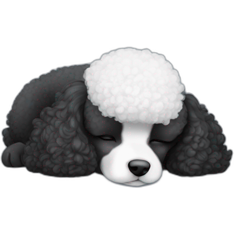 Black and white, mini poodle, sleeping emoji