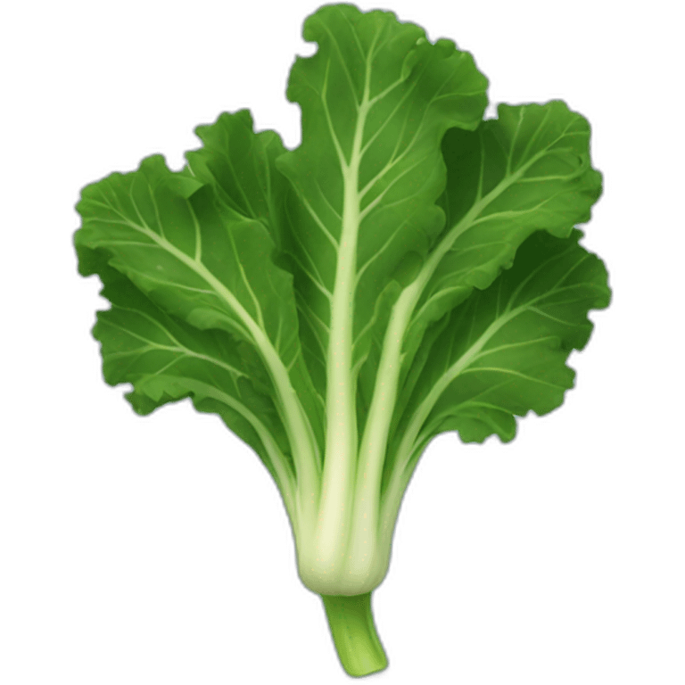 Kale leaf dancing emoji