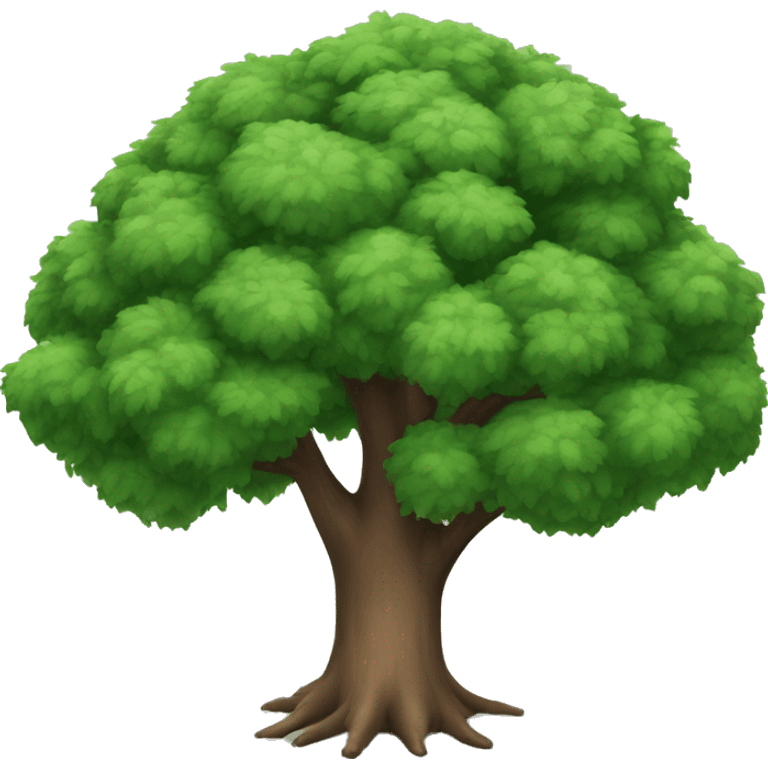 overhead view of a tree rog emoji