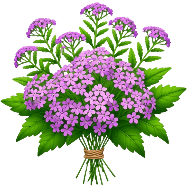 big bouquet verbena flower, stem, leaf emoji