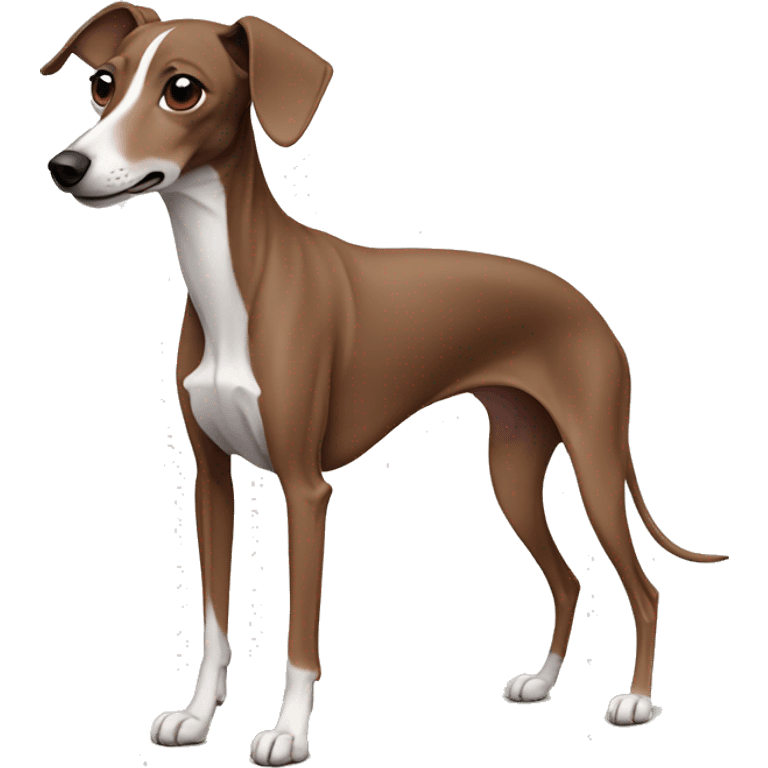 Brown Italian greyhound  emoji