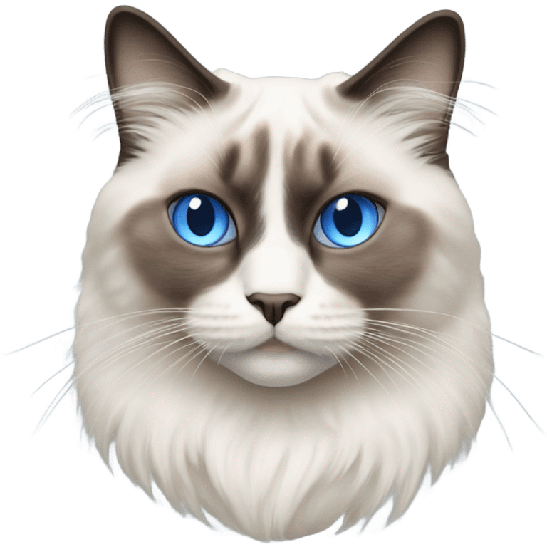 Realistic ragdoll cat with blue eyes female emoji