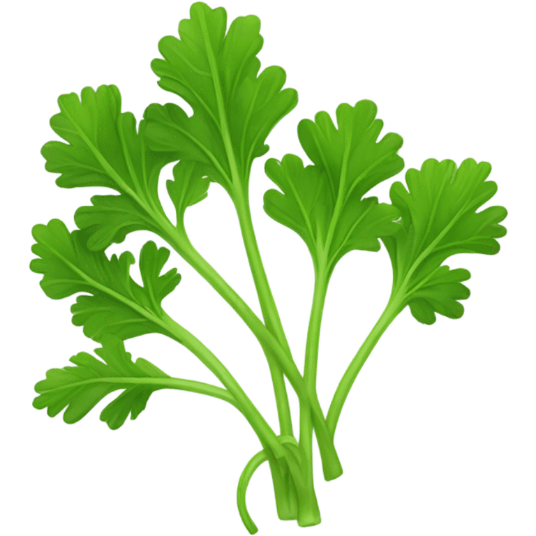 parsley emoji