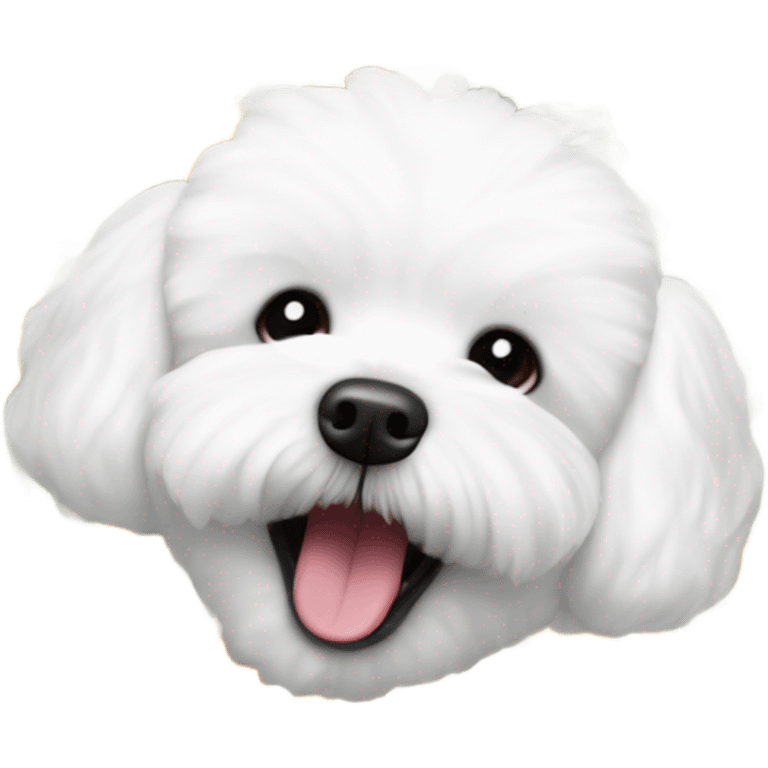 A happy bichon frise face on a daisy flower emoji