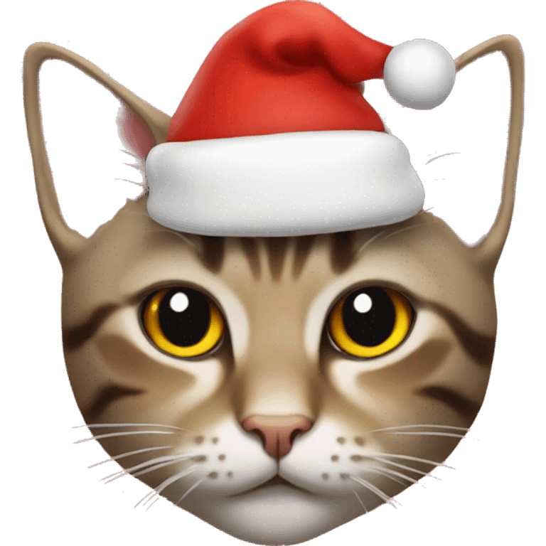 Cat with Christmas hat emoji