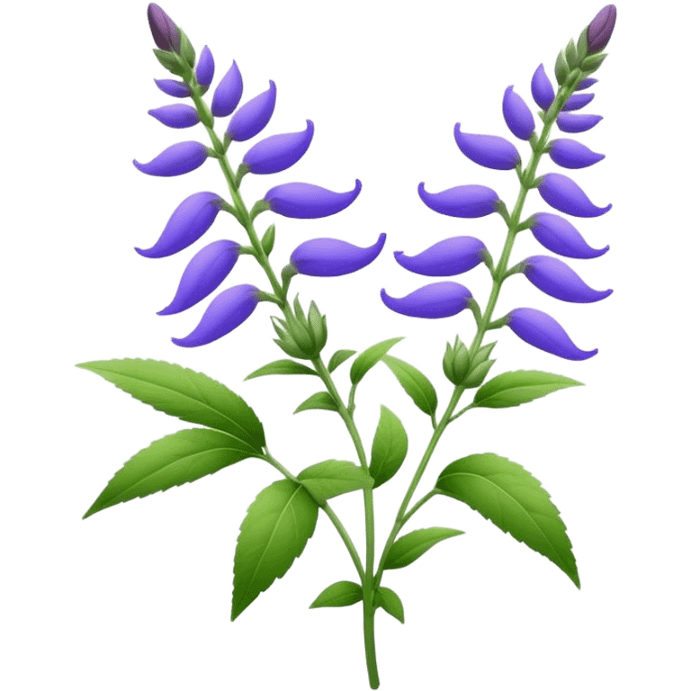 nice salvia flower for a logo for a web emoji