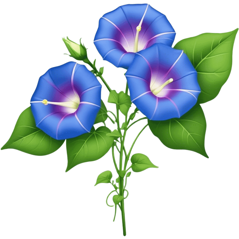 big bouquet Morning Glory stem, leaf emoji