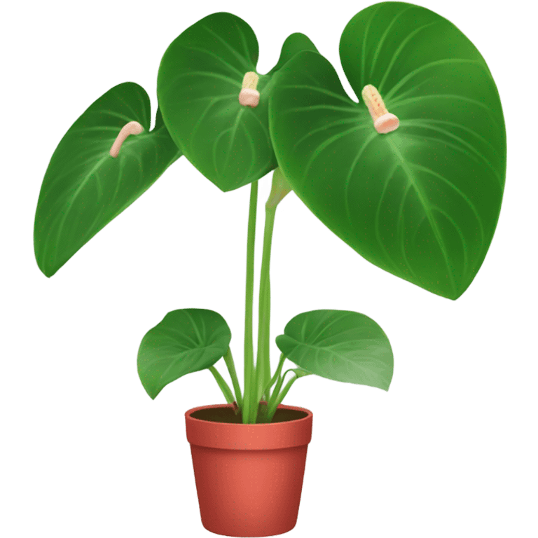 Anthurium emoji