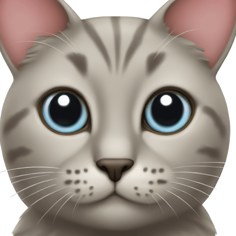 A cat with big eyes holds a heart emoji