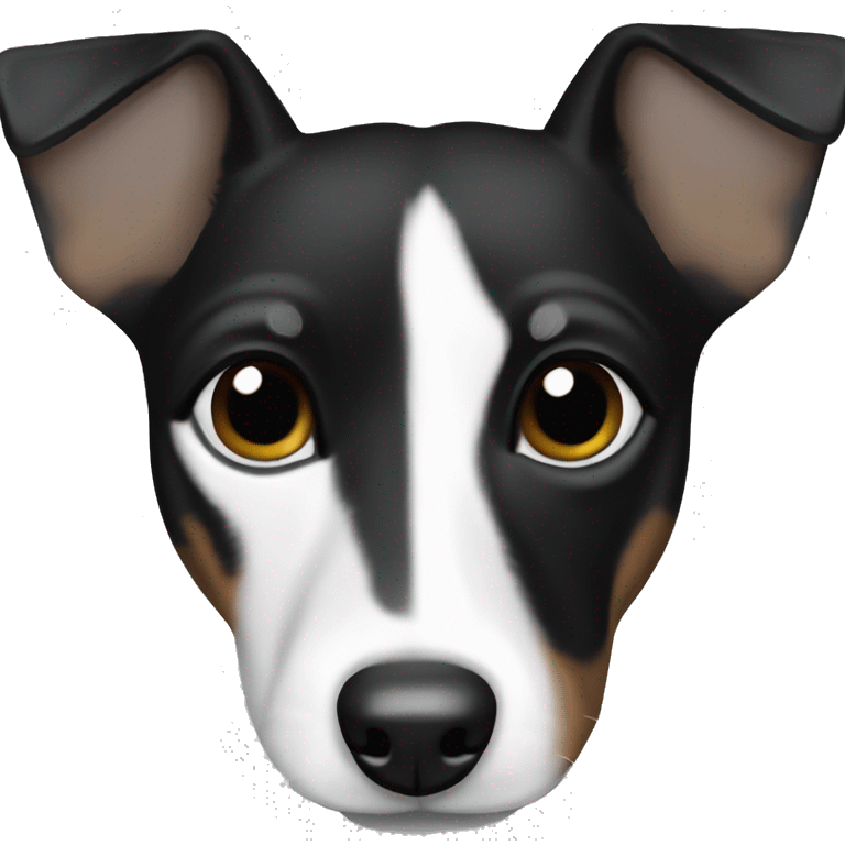 All Black Jack Russell Terrier no brown no white  emoji