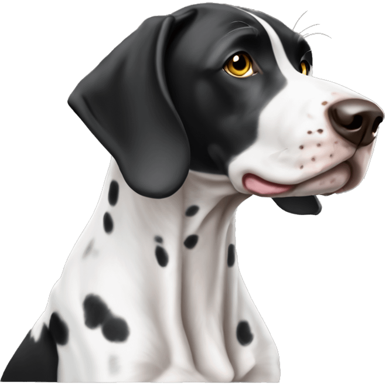 Black and white shorthair pointer emoji