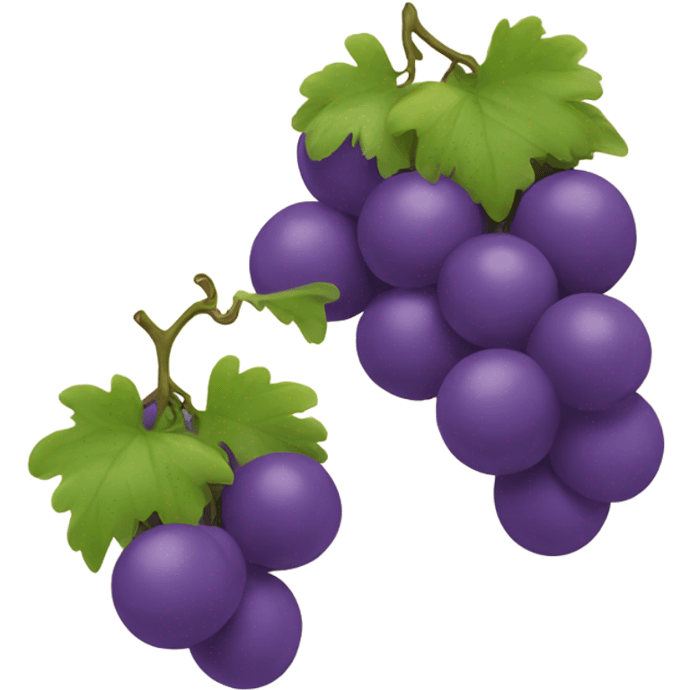 2 grapes with face emoji