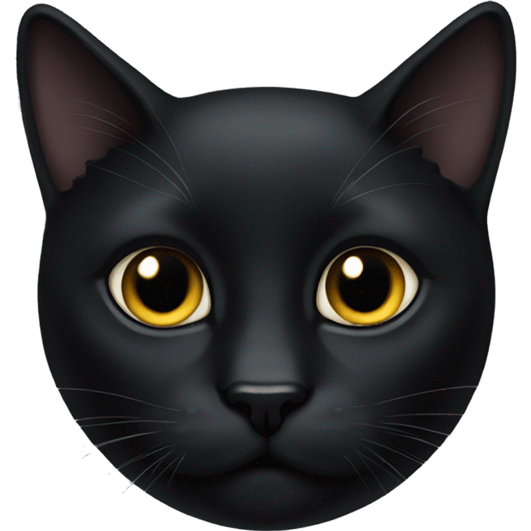 black cat emoji