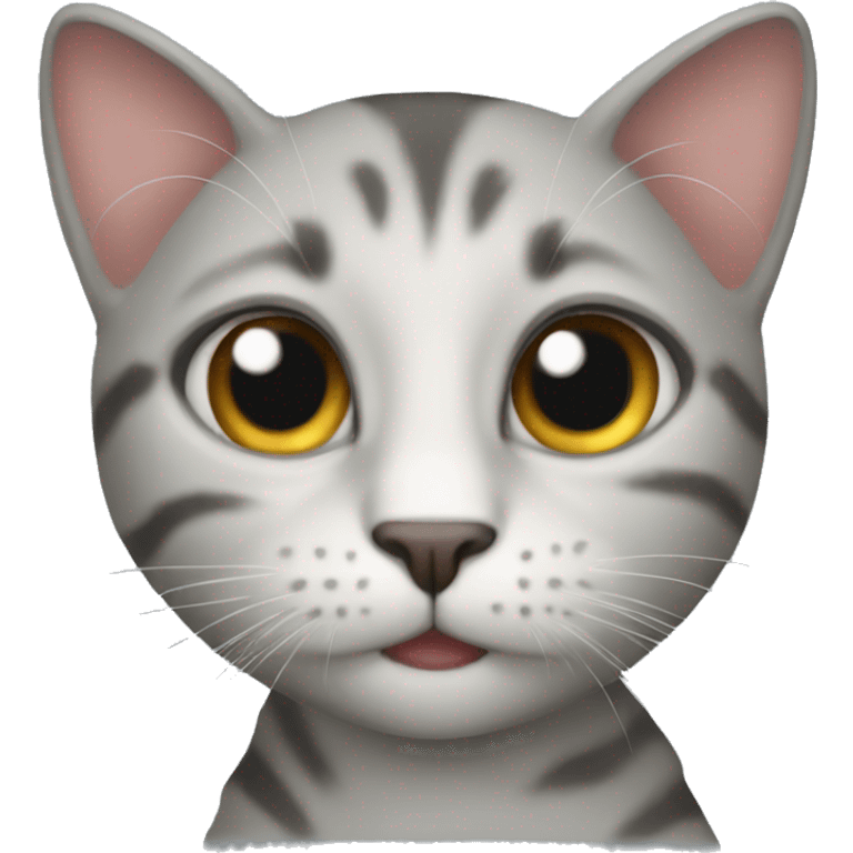 Een kat emoji