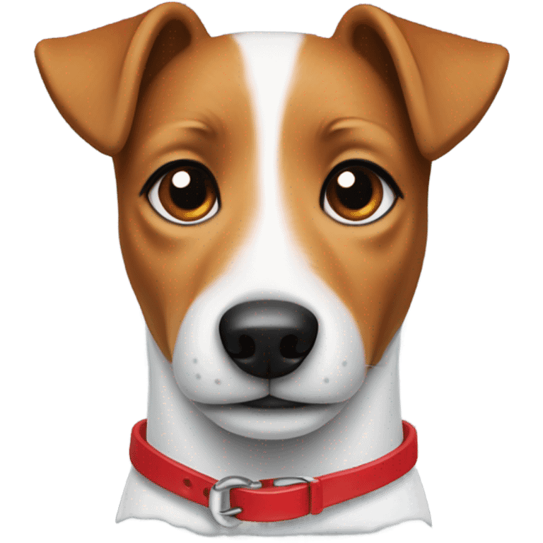 Jack russel with red collar emoji