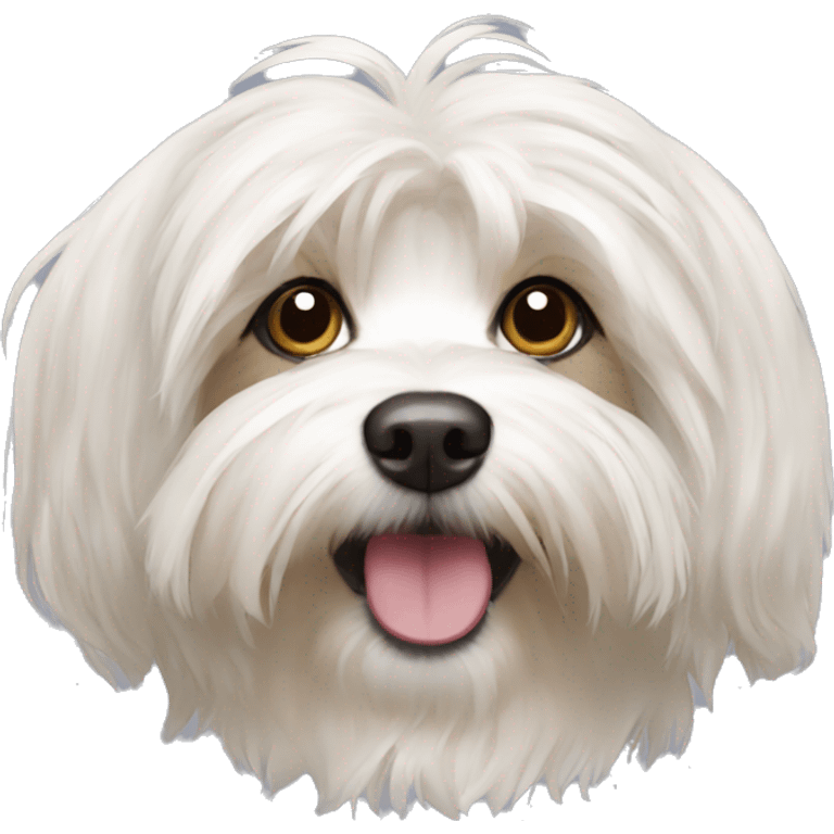 Havanese emoji