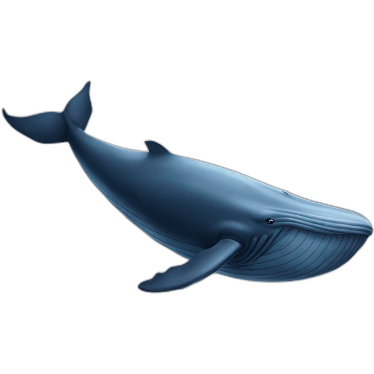 a enormous whale emoji