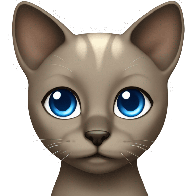 Dark Brown face - beige body and ears female siamise cat with blue eyes  emoji