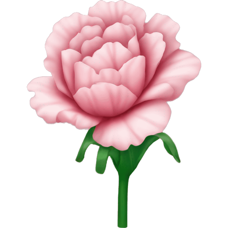 carnation emoji