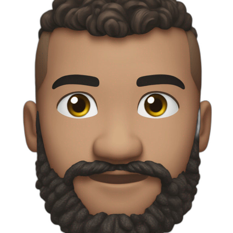 Mo salah fighting erling halland mancity player emoji