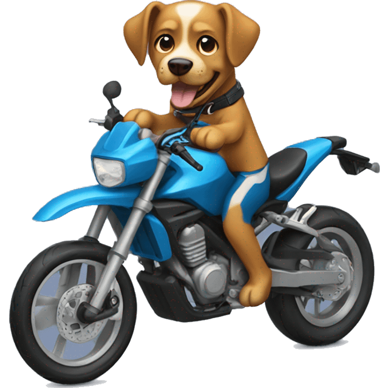 Dog ridinf sport bike  emoji