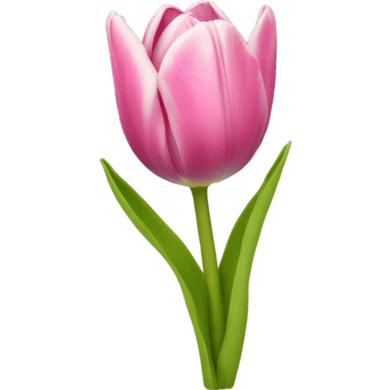 Tulip emoji