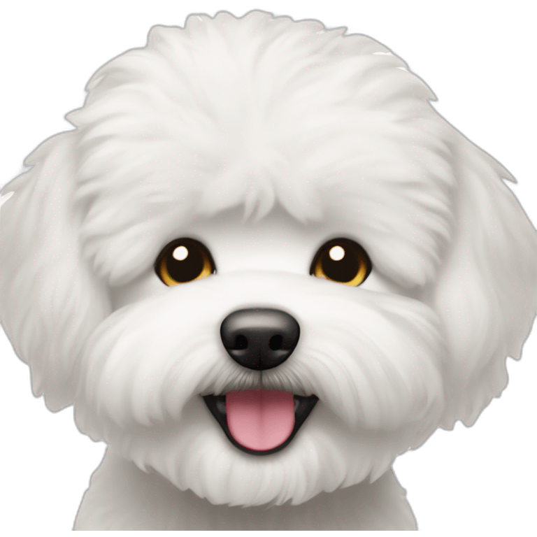 bichon frise wink emoji