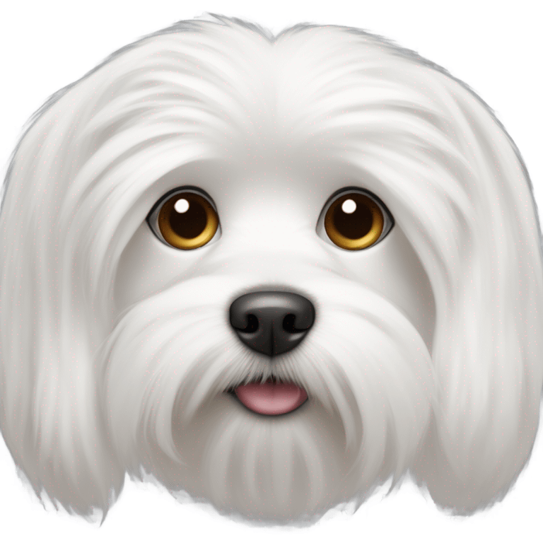 Maltese head emoji